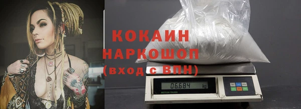 индика Вязники