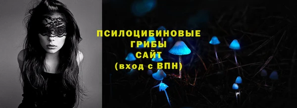 mdpv Володарск