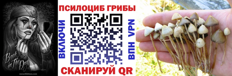 Псилоцибиновые грибы GOLDEN TEACHER  Купить закладки  Красноуфимск 